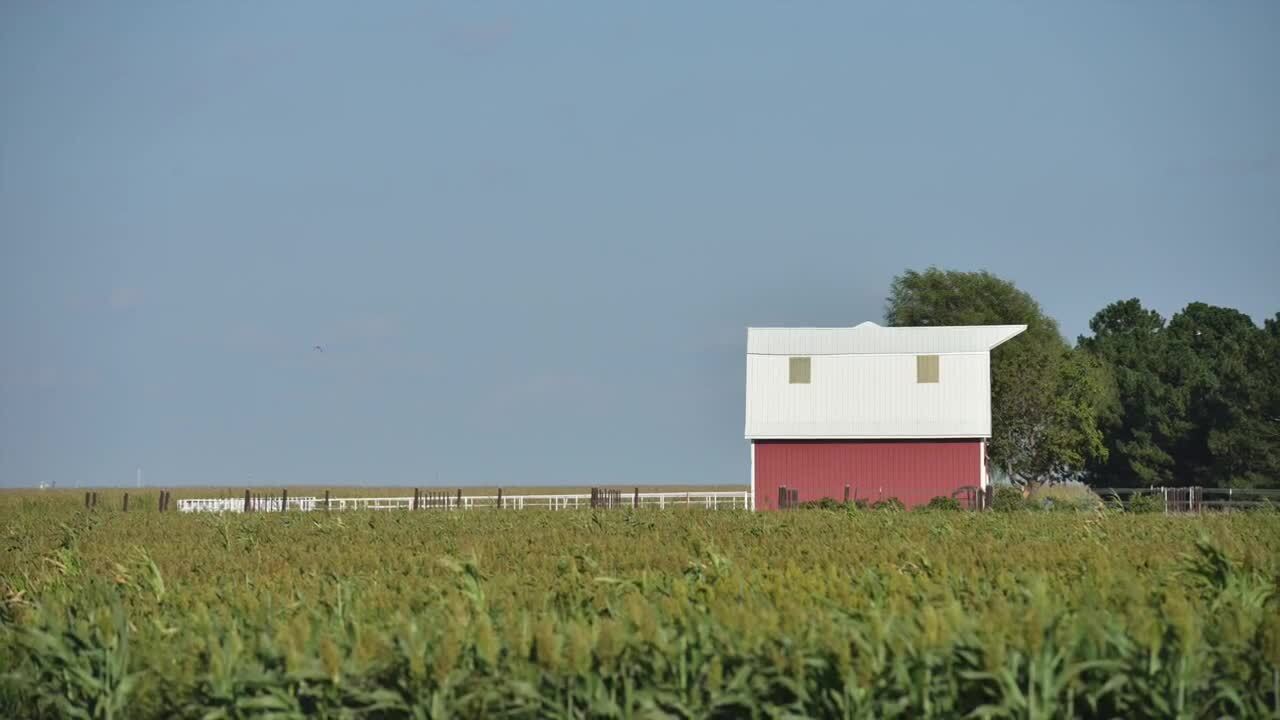 Kevin Ruyle - 2019 Best Young Farmers & Ranchers