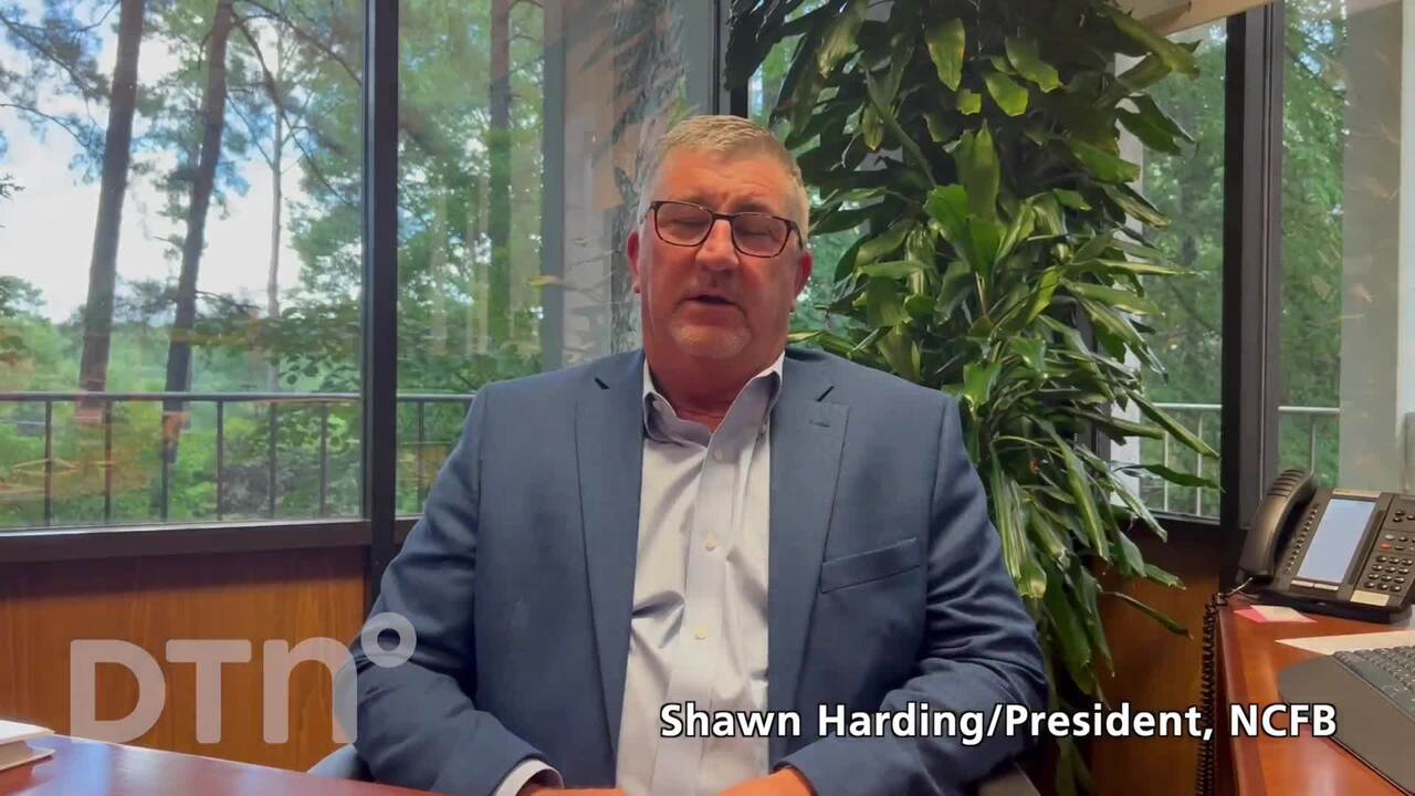 Special Projects - Shawn Harding, NCFB