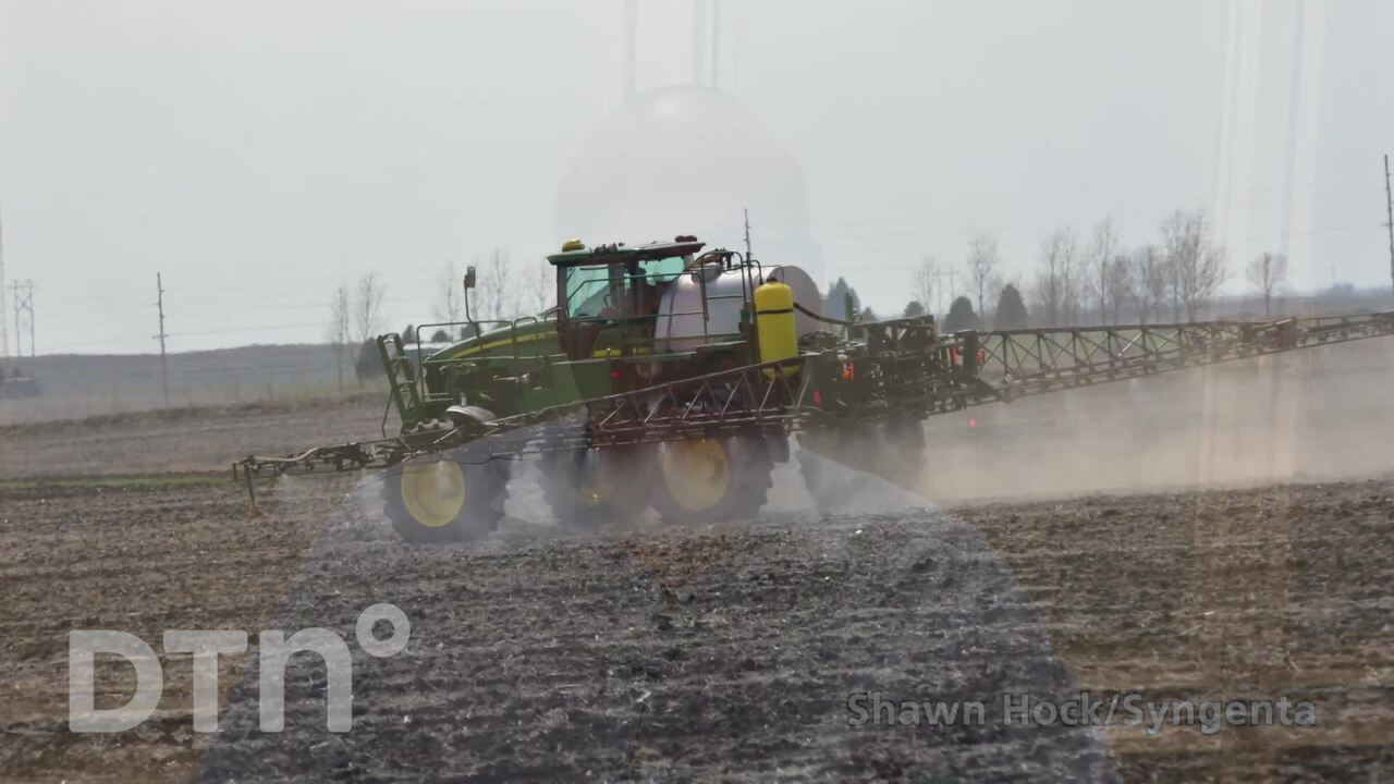 Shawn Hock, Syngenta