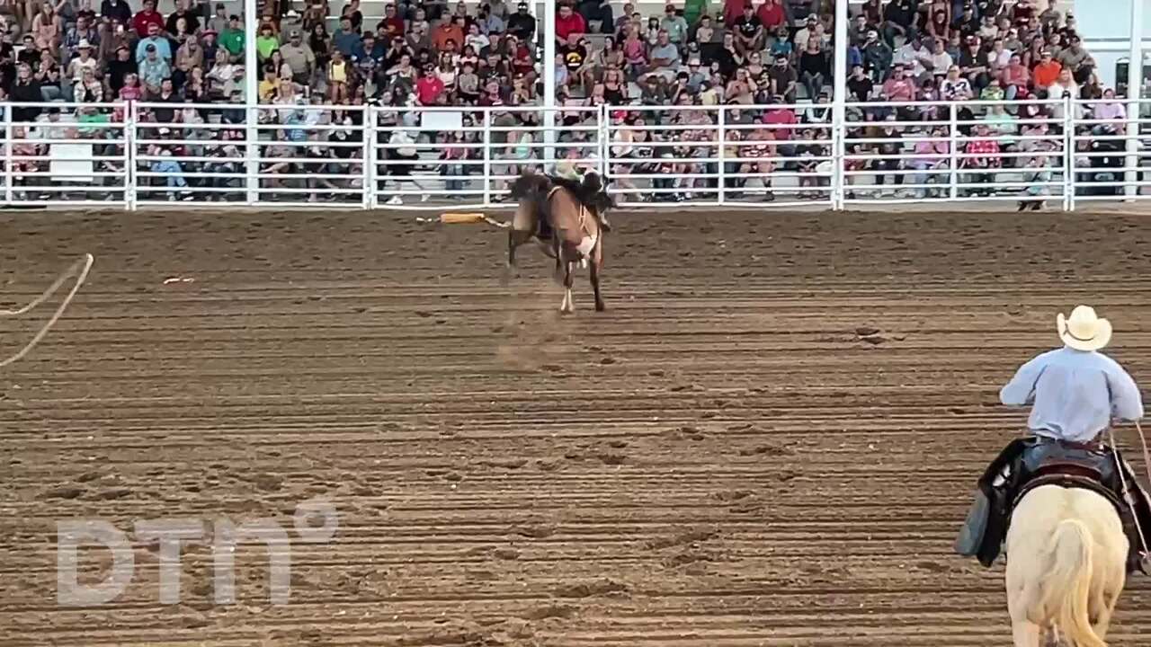 Jarrett Orman - Rockin J Productions