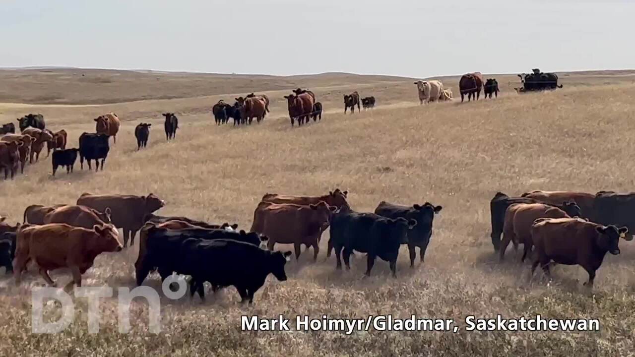 Special Projects - Mark Hoimyr
