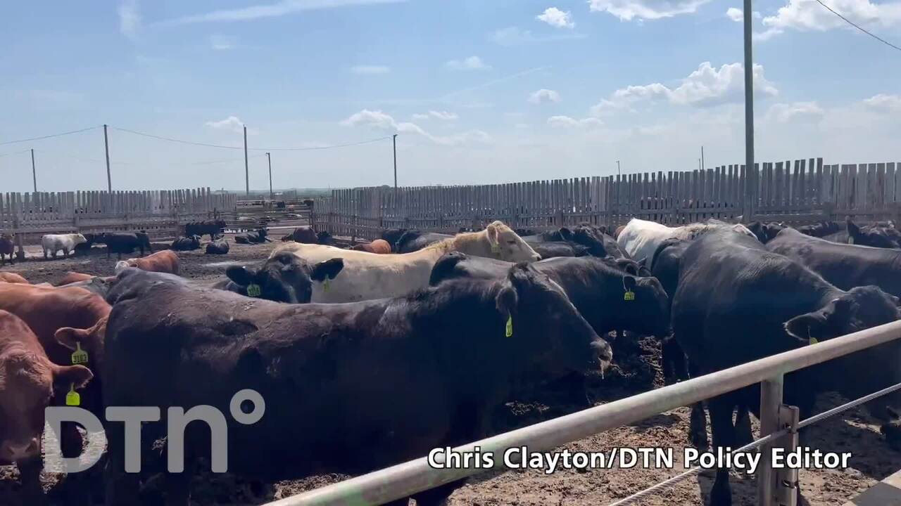 A tour of Cattleland Feedyards near Strathmore, Alberta.