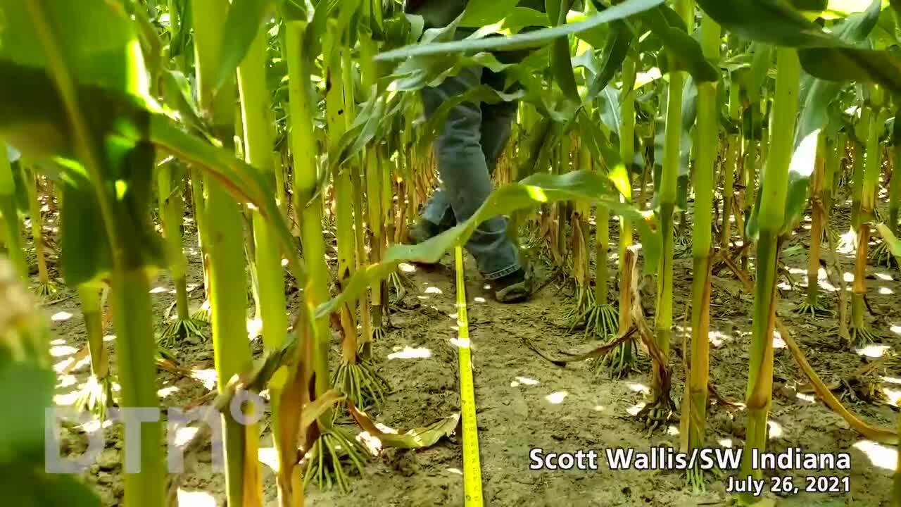2021 Digital Yield Tour - Scott Wallis