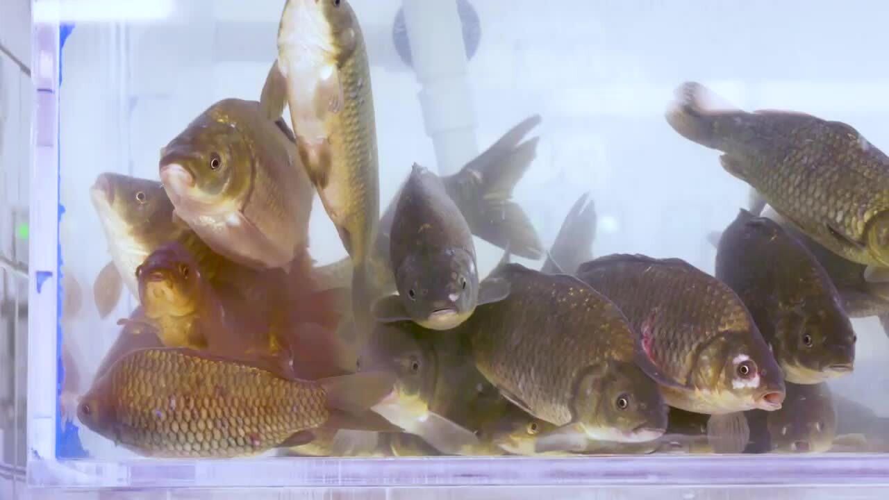 METRO SUPERMARKET Updated April 2024 602 Photos & 34 Reviews 8160