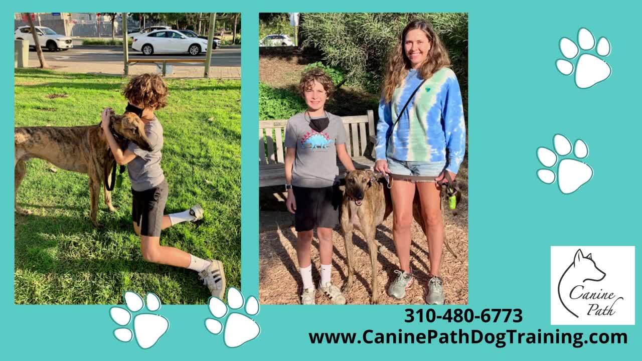 CANINE PATH PRIVATE DOG TRAINING 72 Photos & 14 Reviews 1601N