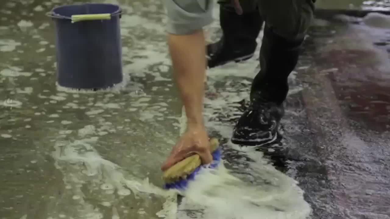 THOMAS RUG CLEANING CO & ARARAT ORIENTAL RUGS Updated August 2024