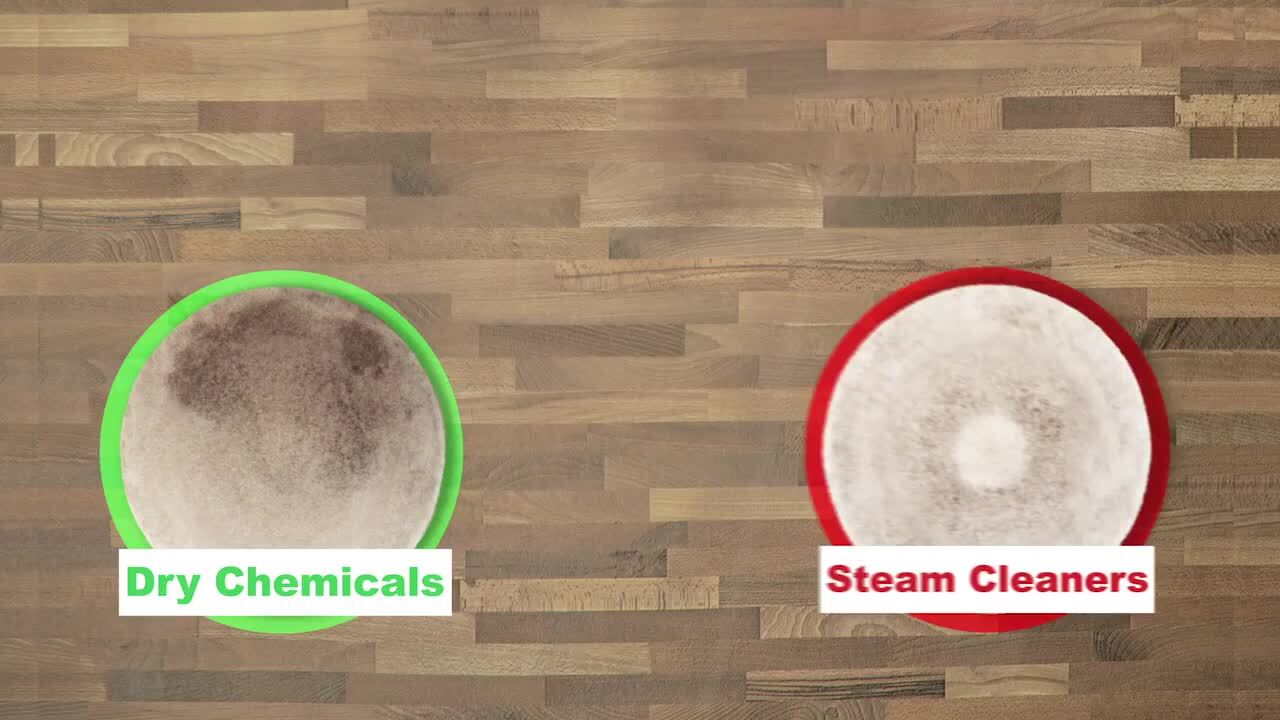 ZEROREZ CARPET CLEANING LAS VEGAS 163 Photos & 347 Reviews Carpet