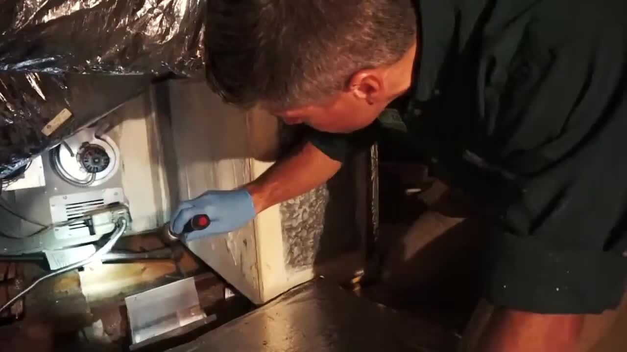 PEACHTREE PEST CONTROL Updated May 2024 30 Photos & 44 Reviews