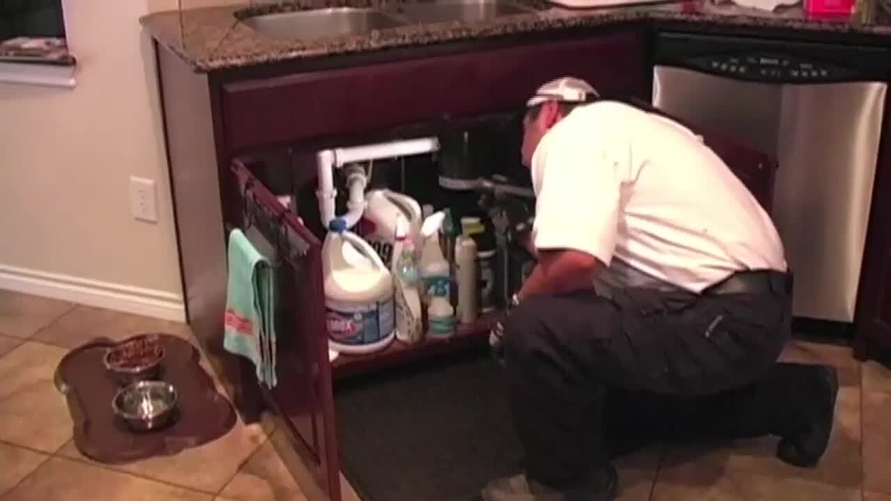 ABSOLUTE PEST MANAGEMENT Updated September 2024 143 Photos & 130