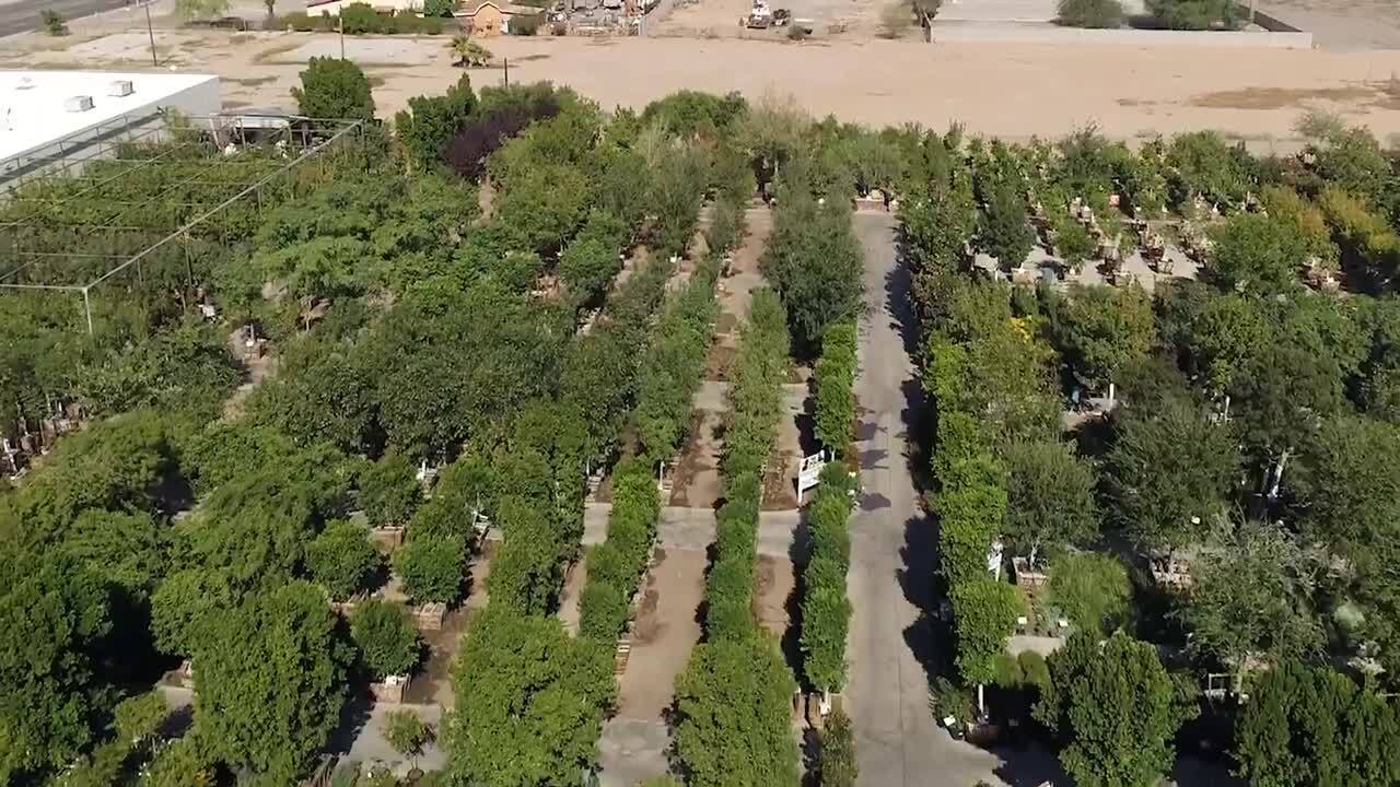 MOON VALLEY NURSERIES 517 Photos & 252 Reviews 13040 W Cottonwood