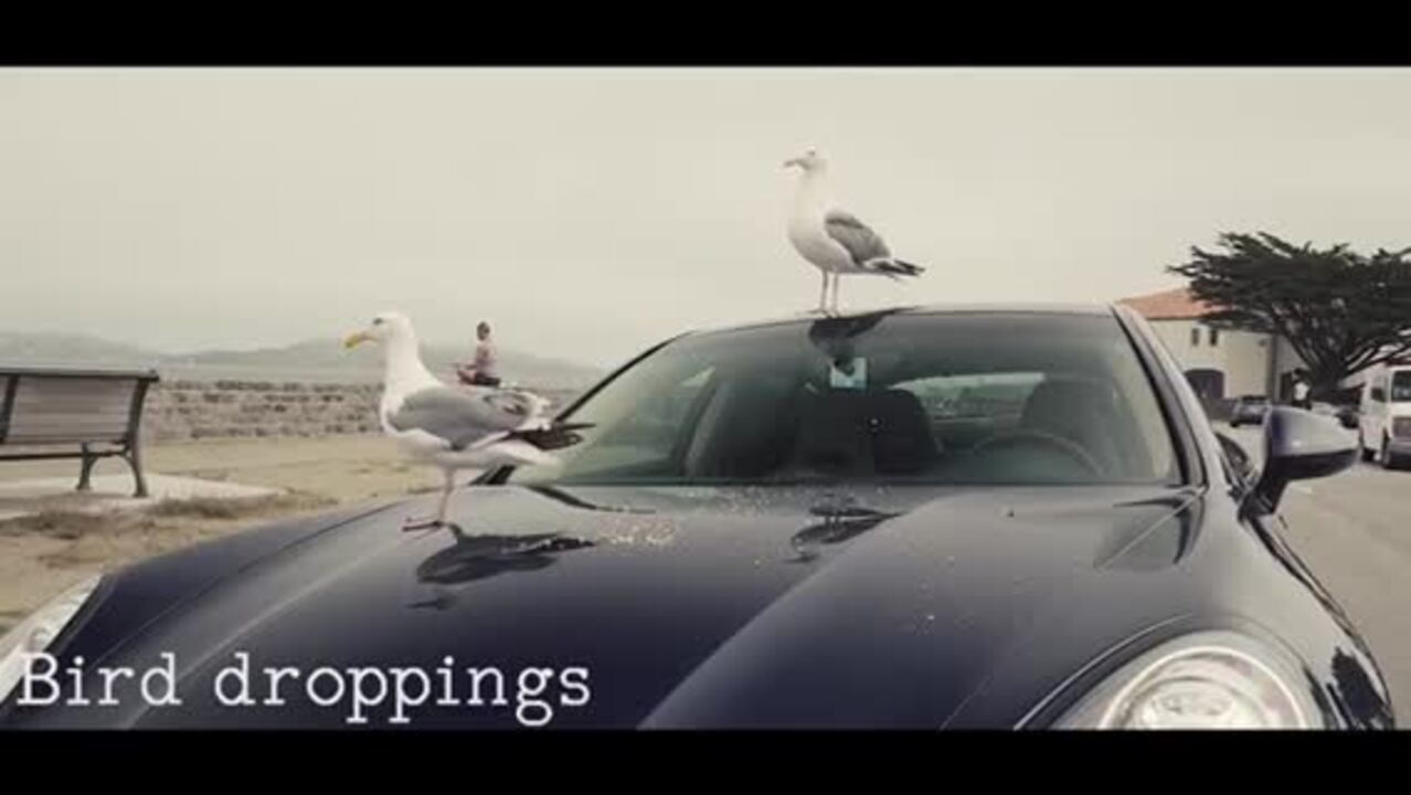 SAM’S STEAM AUTO MOBILE DETAILING 222 Photos & 157 Reviews Auto