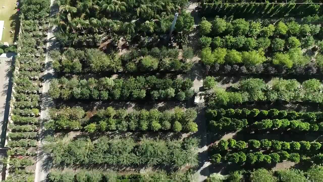 MOON VALLEY NURSERIES 537 Photos & 275 Reviews 14225 N 7th St