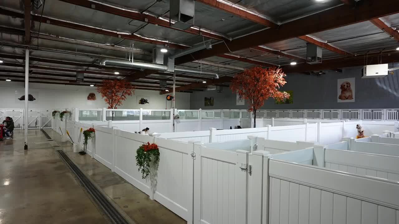 Video from the owner of Dog Resort
