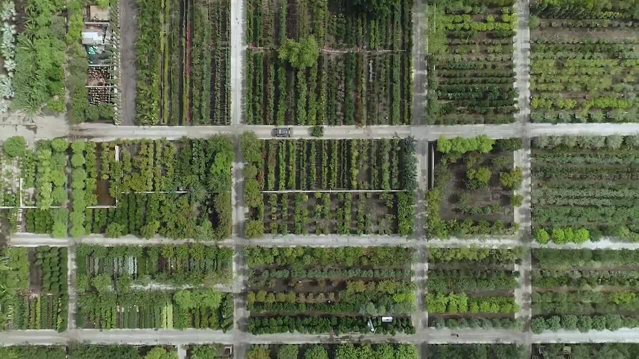 MOON VALLEY NURSERIES 361 Photos & 375 Reviews Nurseries