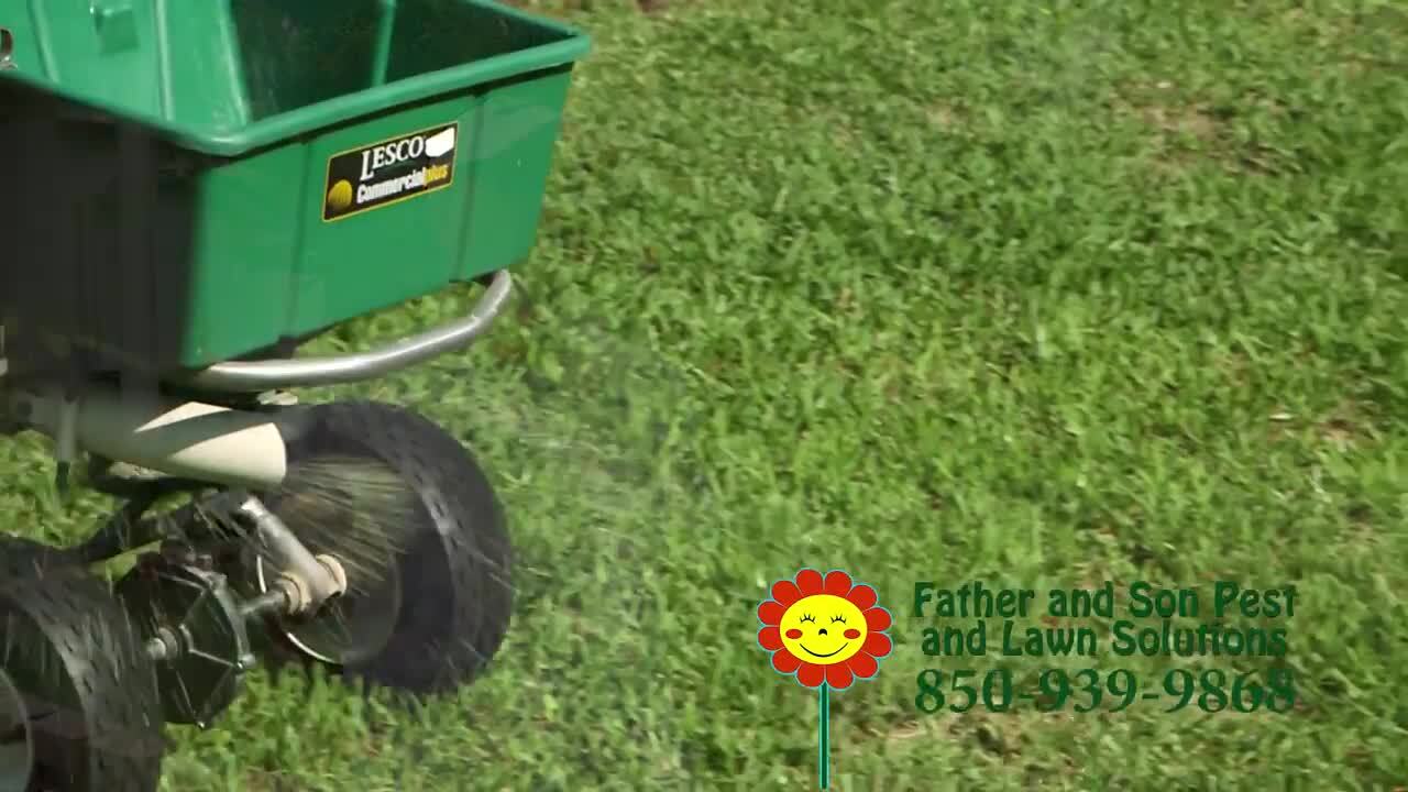 FATHER AND SON PEST AND LAWN SOLUTIONS 15 Photos Navarre, Florida