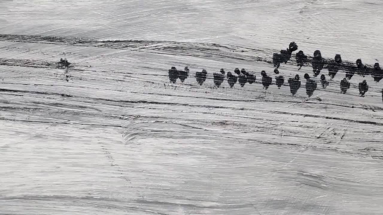 拍品特写 ─ 常玉《电线上的麻雀》
 auction at Christies