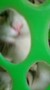 nileye-video-1664846951578