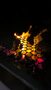 Vallasky-video-1778928516995