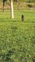 Ochii_-video-1787420946059