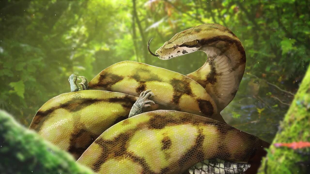 Eons: How a Hot Planet Created the World's Biggest Snake