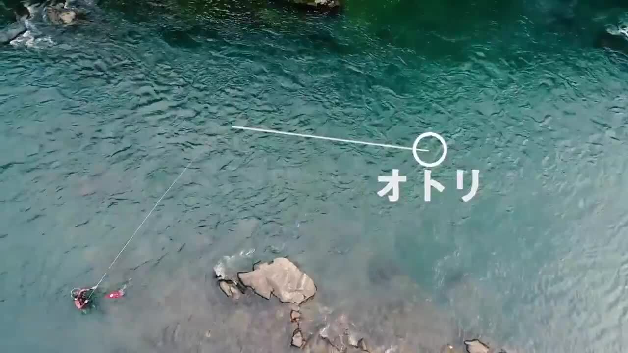 鮎｜釣り情報｜DAIWA