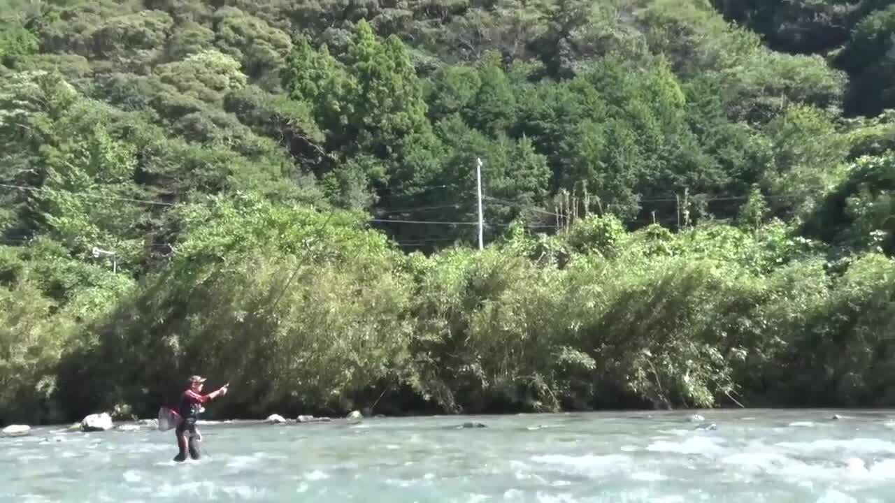 鮎｜釣り情報｜DAIWA
