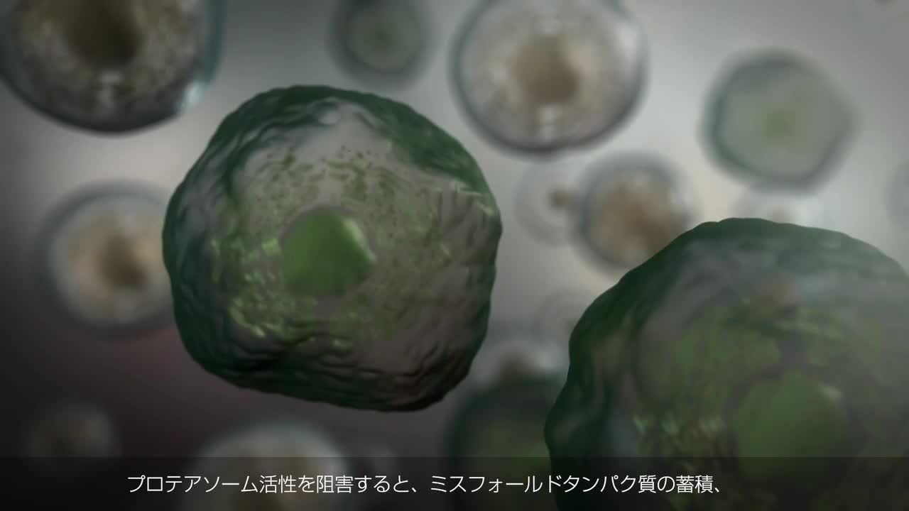 ニンラーロカプセル0.5mg・2.3mg・3mg・4mg｜【公式】武田薬品