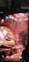 vernetti-video-1779900440345