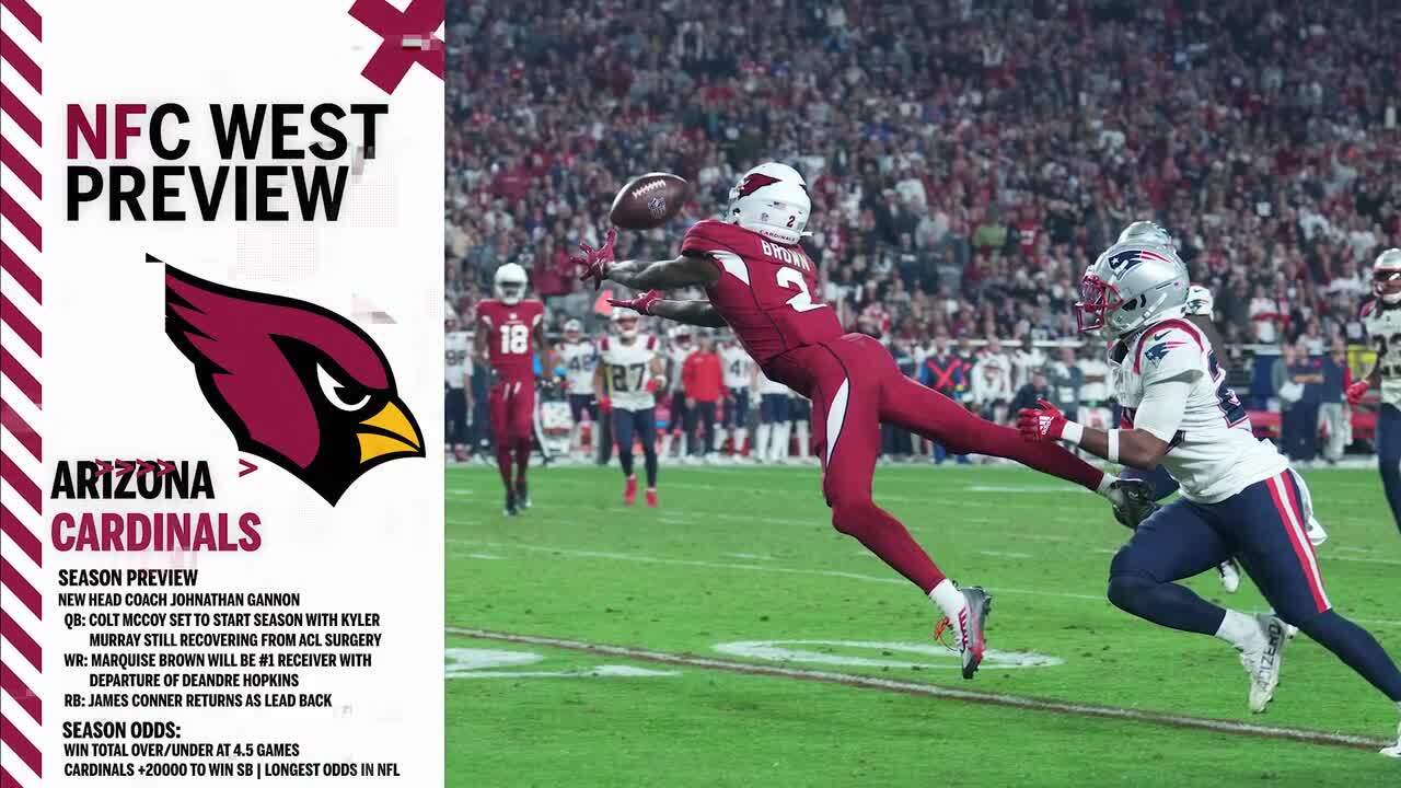 Arizona Cardinals 2023 NFL Preview: They've had a miserable year