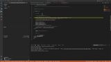 VS-Code-Walkthrough-individual-Part8Debug-rv3.mp4