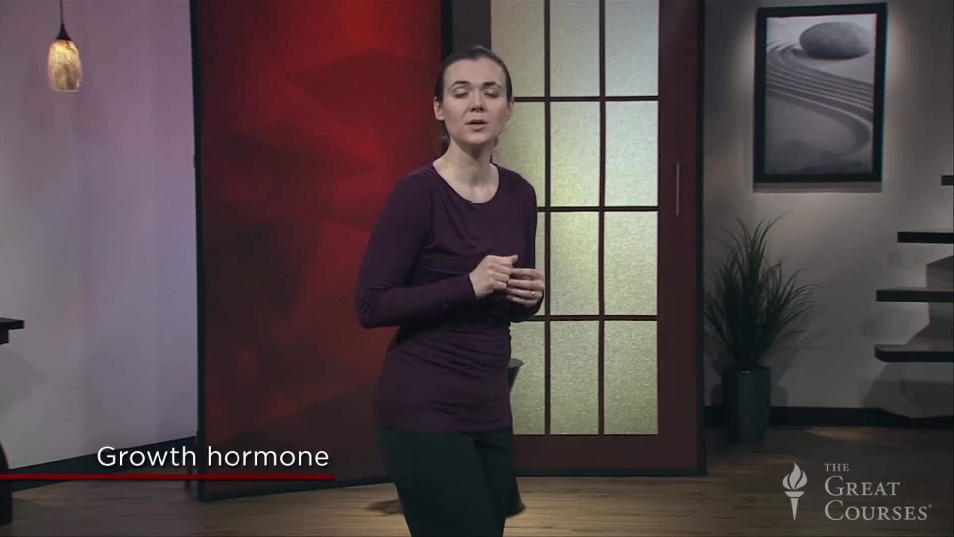 Sleep: Your Energy 401(k)