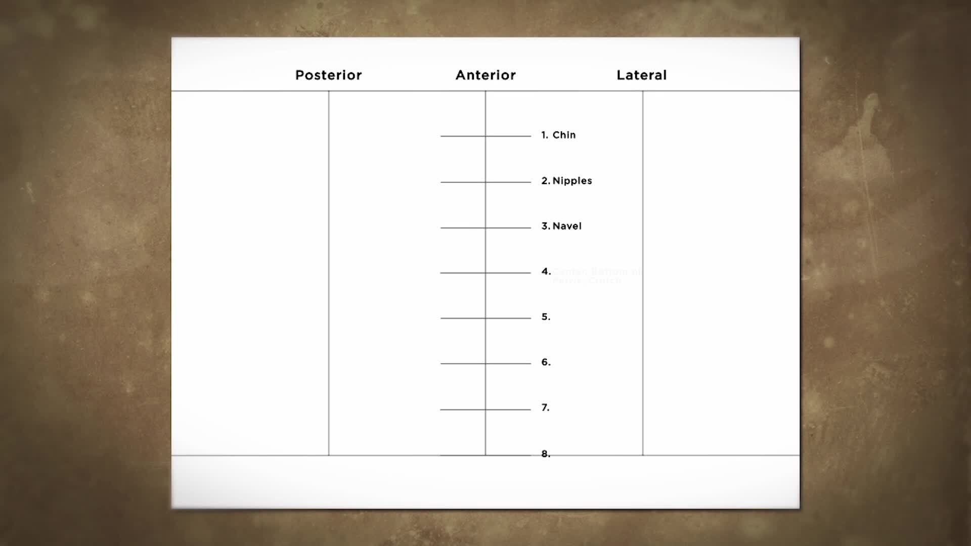 The Figure: A Canon of Proportions