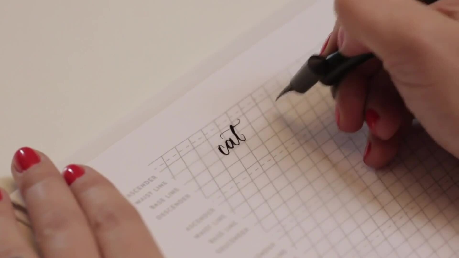 Numbers & Connecting Letters