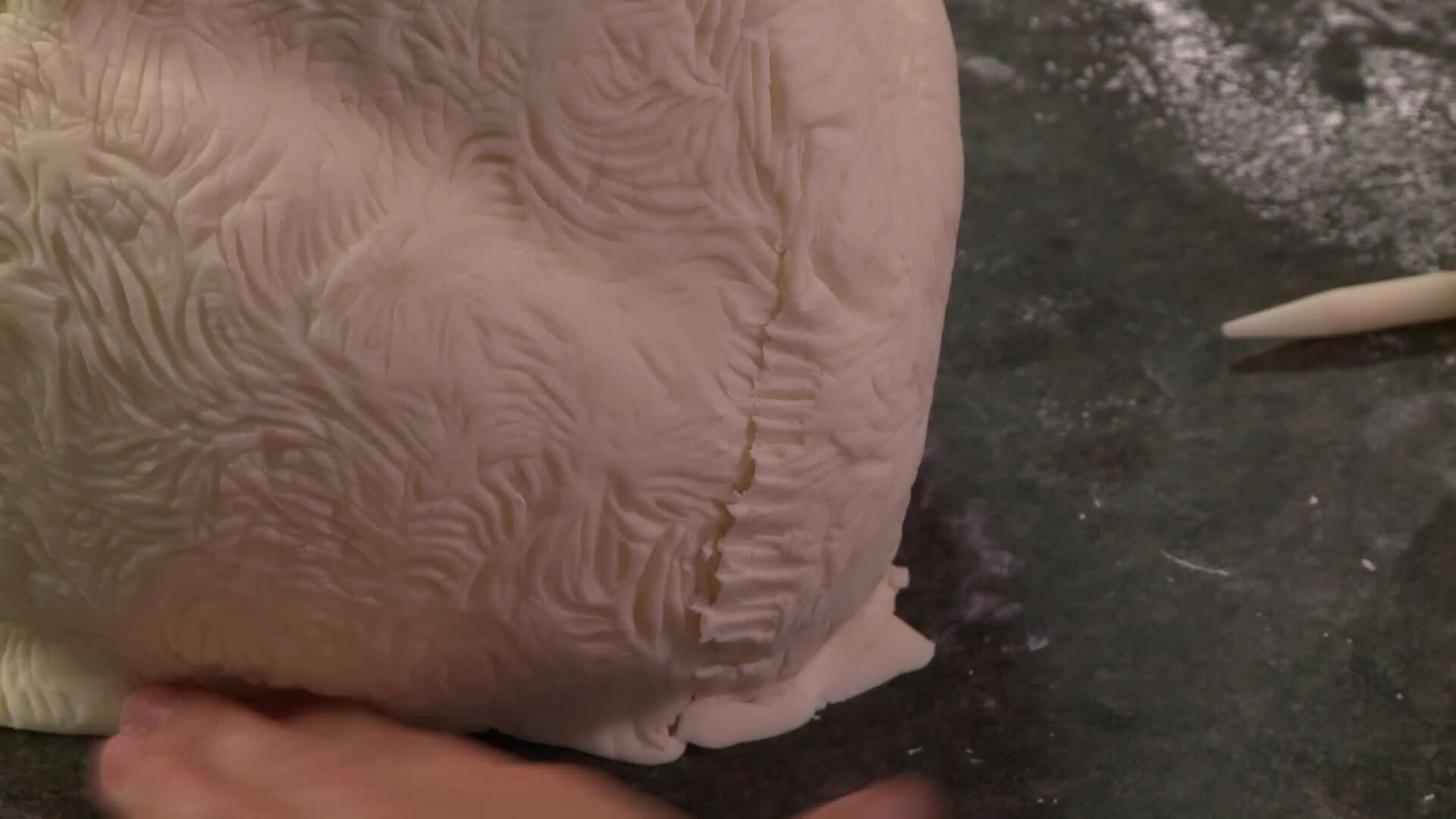 Covering the Body in Fondant