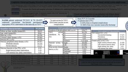 Presentation thumbnail