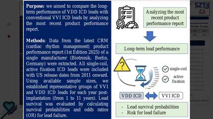 Long-term performance of VDD vs. VVI ICD leads: a single-manufacturer analysis based on product performance report