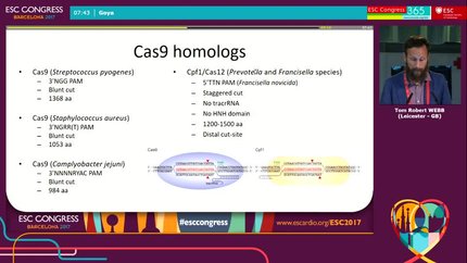 Presentation thumbnail