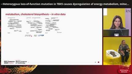 Presentation thumbnail