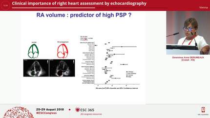 Presentation thumbnail
