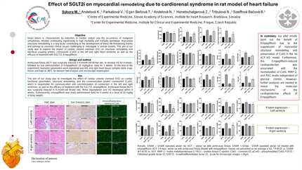Effect of SGLT2i on myocardial remodeling due to cardiorenal syndrome in rat model of heart failure