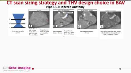 Presentation thumbnail