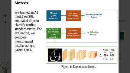 Presentation thumbnail