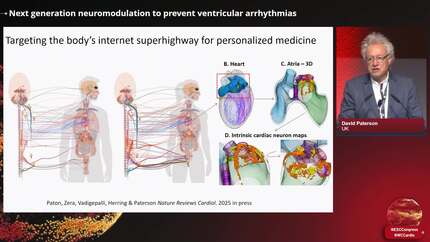 Novel interventions and therapies to prevent sudden arrhythmic death