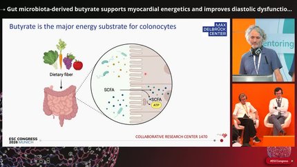 Presentation thumbnail