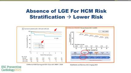 Presentation thumbnail