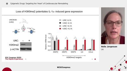 Epigenetic Regulation of Inflammatory gene expression in vascular smooth muscle cells.