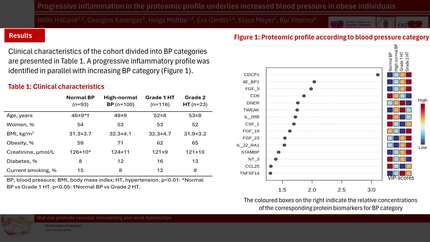 Presentation thumbnail