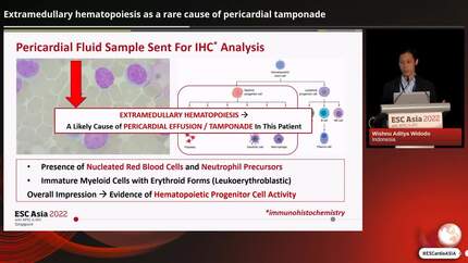 Presentation thumbnail