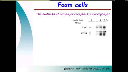 Presentation thumbnail