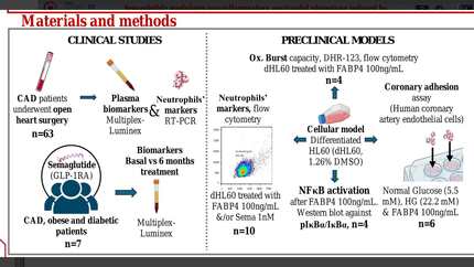 Presentation thumbnail